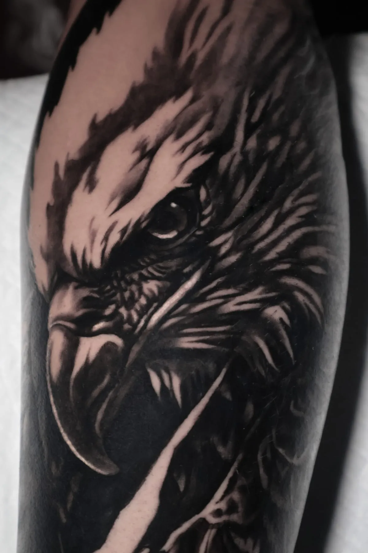Adelaar: black-and-grey tattoo op de onderarm